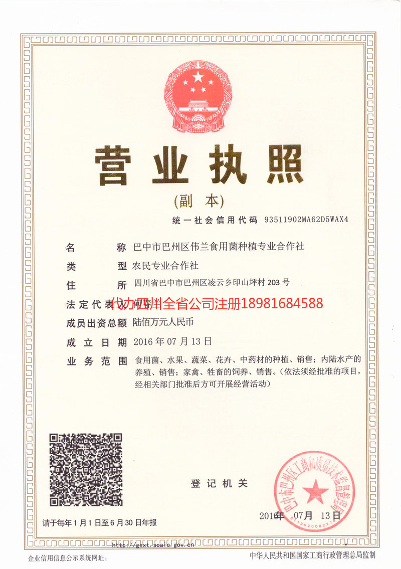 安徽安徽伟兰食用菌种植专业合作社